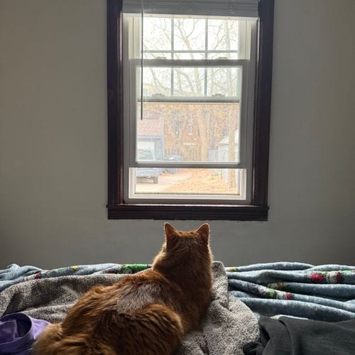 the guest Room ™️