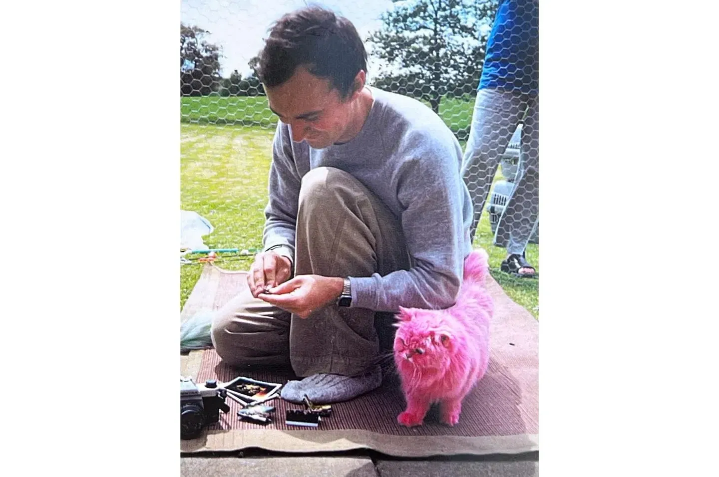 Tim Walker's Instagram & His Book, Wonderful Things