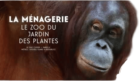 La Ménagerie, le zoo du Jardin des Plantes