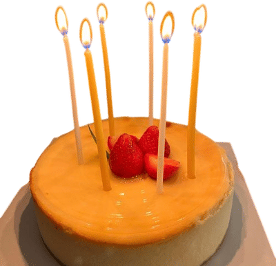Skinny Beeswax Birthday Candles