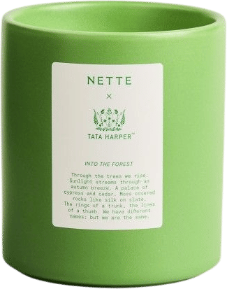 everyone who comes into my house loves this candle