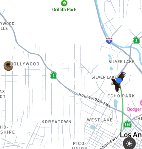 roost app