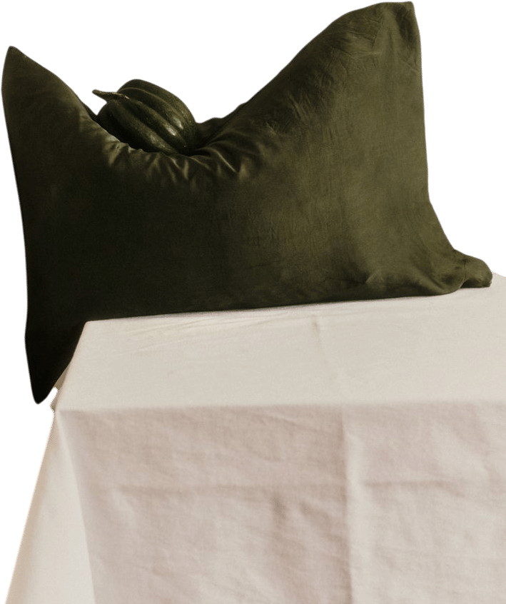 Silk Pillow in Forest