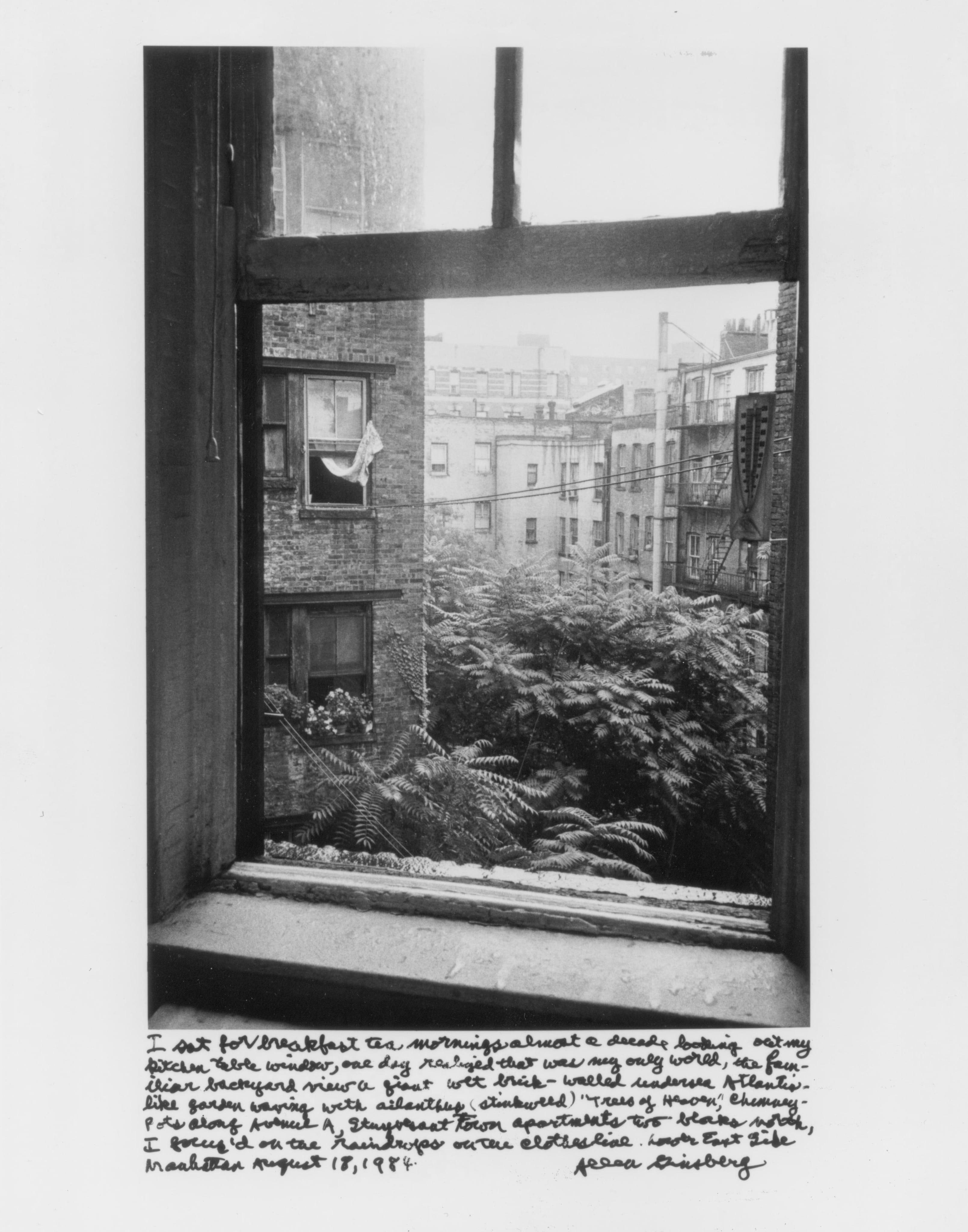 this photo that Allen Ginsberg took from his window on August 18th, 1984