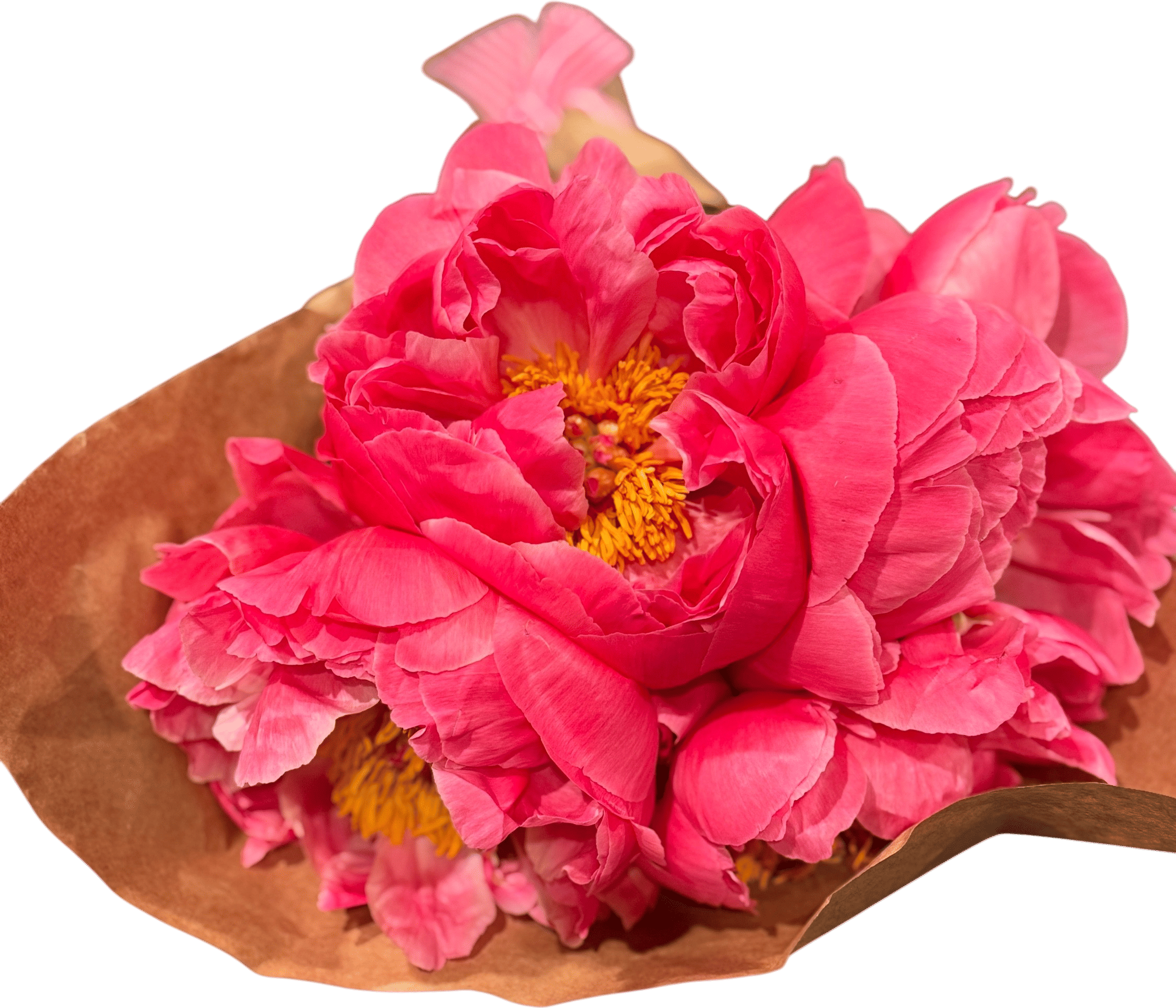 Fresh Flowers for the Office (or wherever)