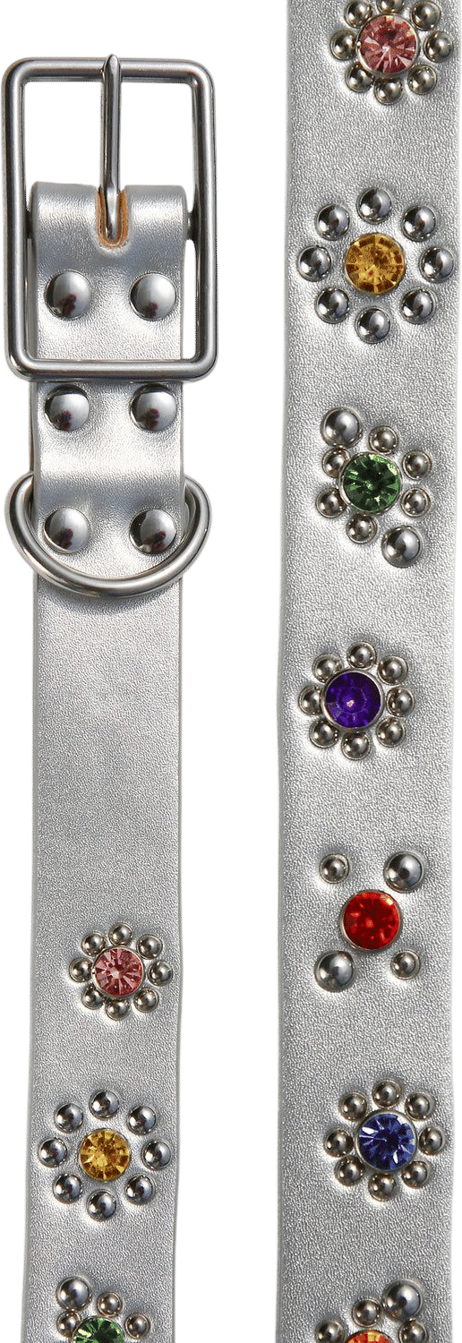 Flower Dog Collar