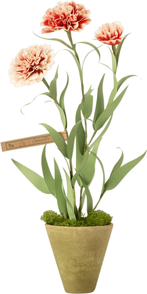 The Green Vase Paper Flowers