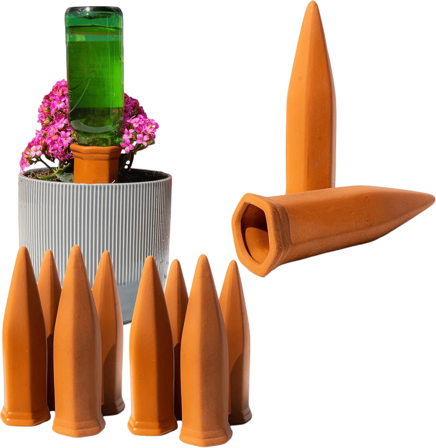 Terracotta stakes for houseplants