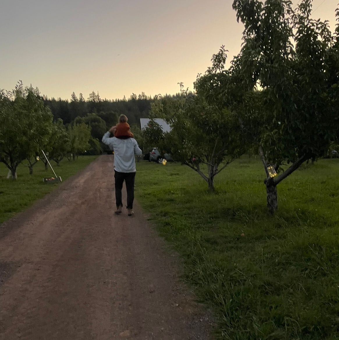 Northern California Hi-Lo Guide