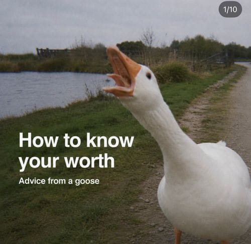 brad and the goat Instagram account