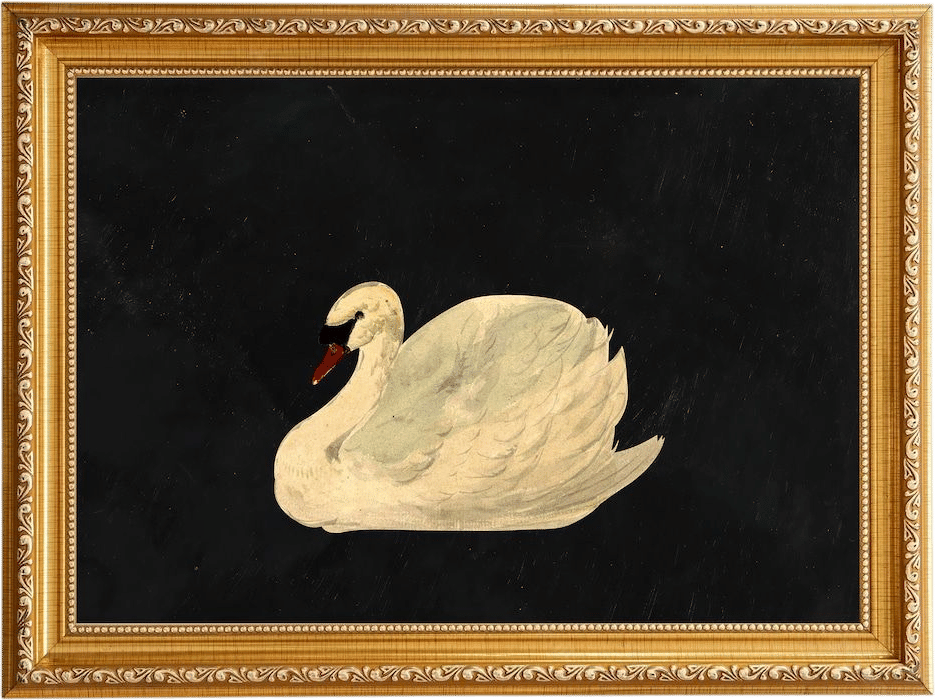 “Mute Swan” Art Print