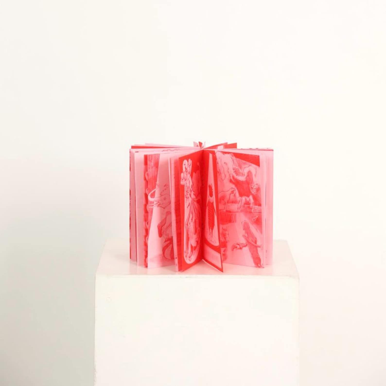 CIRCUS / QC vol 2 risograph art zine