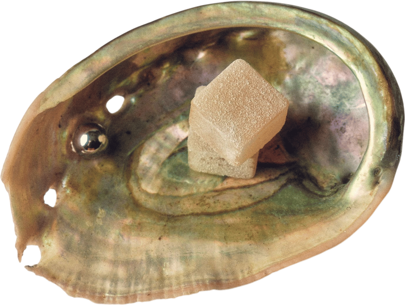 Rose Los Angeles Flower Rosin Edibles