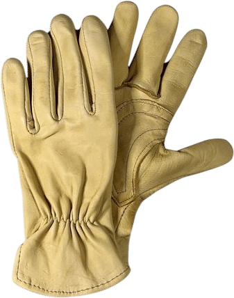 Leather Gloves