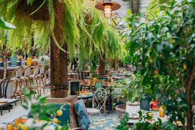 The Potting Shed
