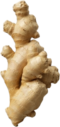 Ginger Syrup