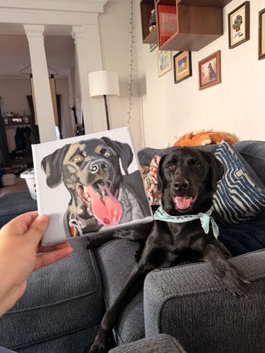 using chewy