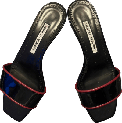 Black and Blue Mules