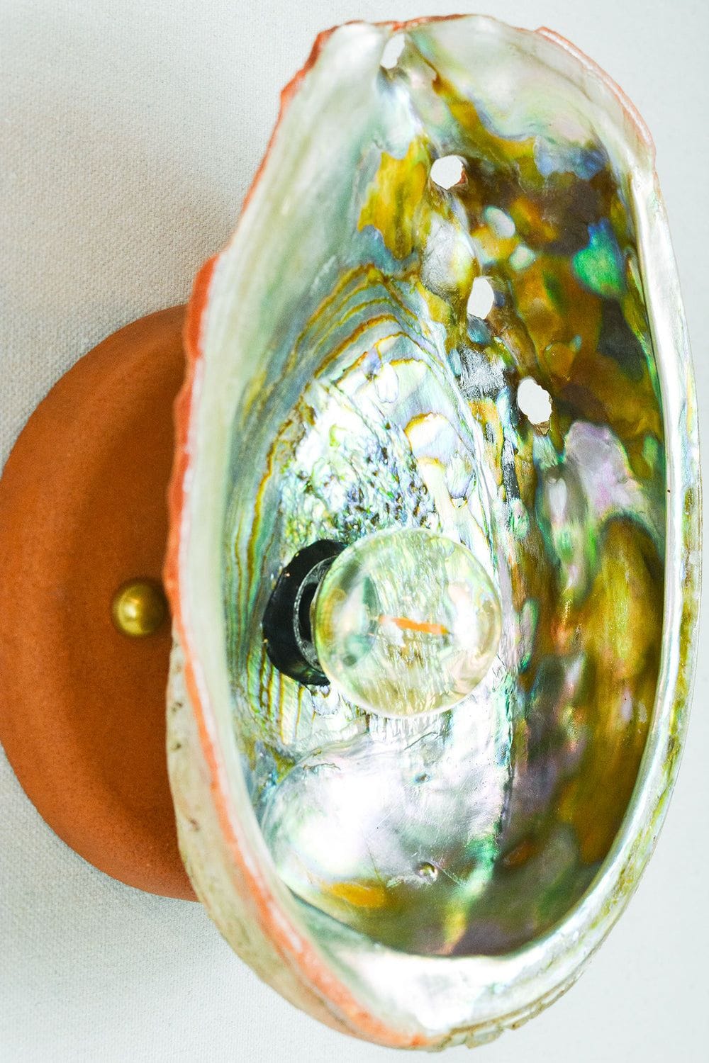 Abalone Siren's Sconce by Tennant New York