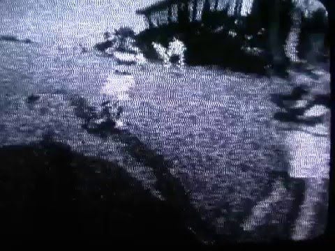 Heartbeats by the knife