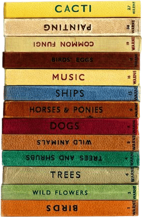 bookshelf