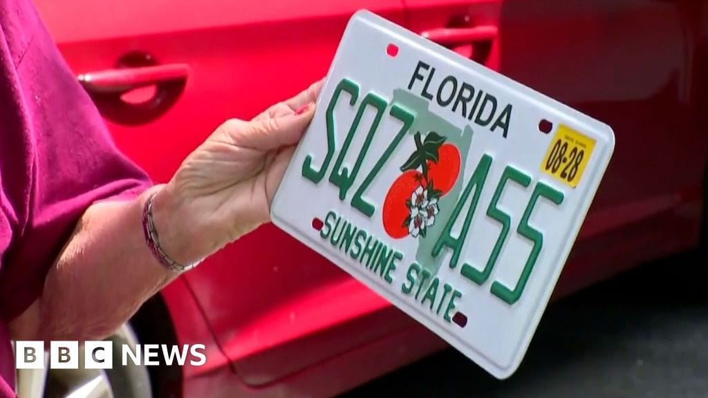 SQZ A55 license plate lady