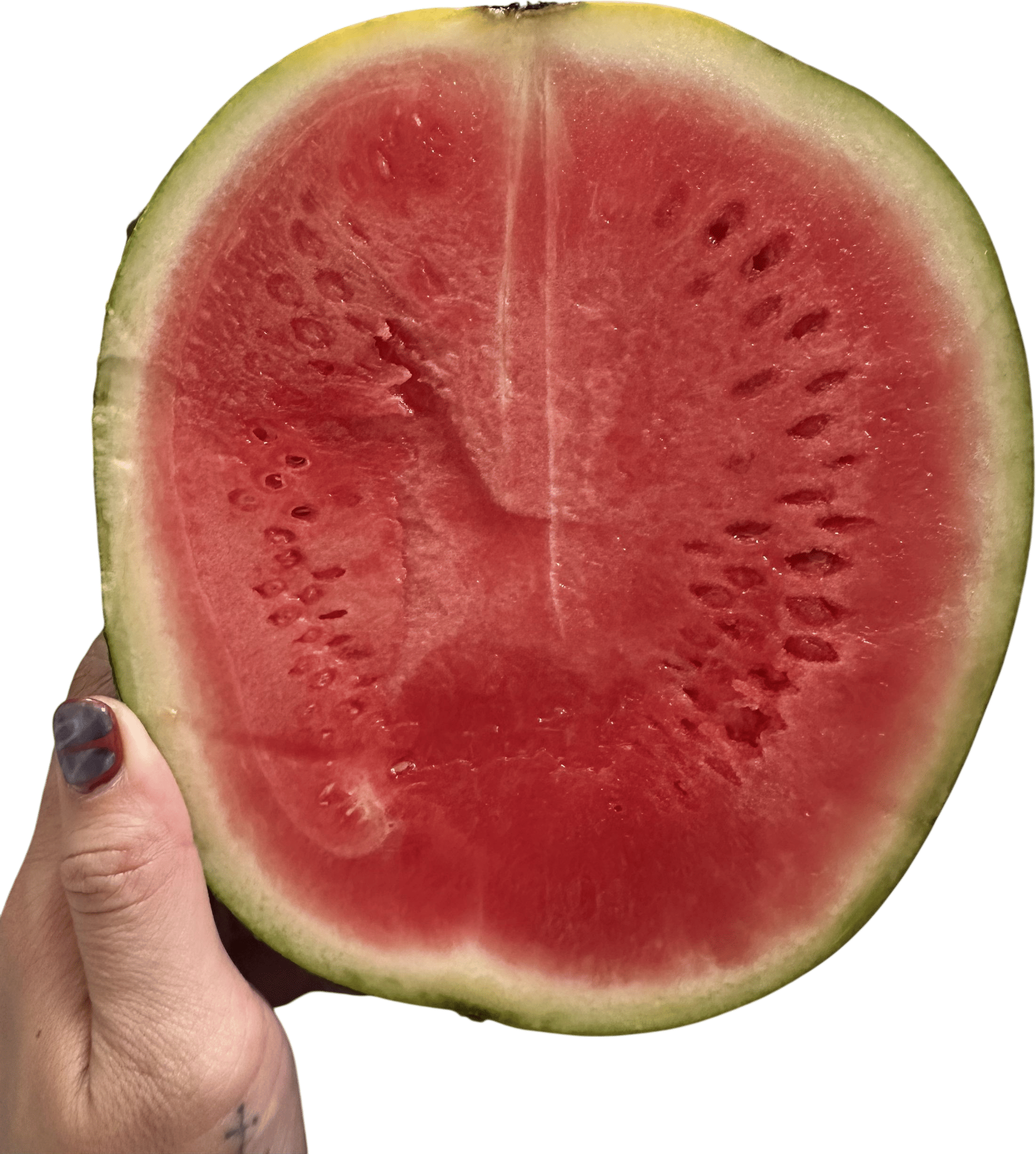 Slicing into a perfectly ripe watermelon