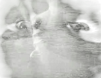 Entr'Acte (Interlude) - 1924 - René Clair : René Clair, Francis Picabia, Rolf de Maré, restored by Fondazione Cineteca Italiana : Free Download, Borrow, and Streaming : Internet Archive