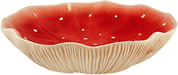 Gudrun Large fruit bowl by Claudia Schiffer