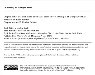 Blackout, Black Excellence, Black Power: Strategies of Everyday Online Activism on Black Tumblr