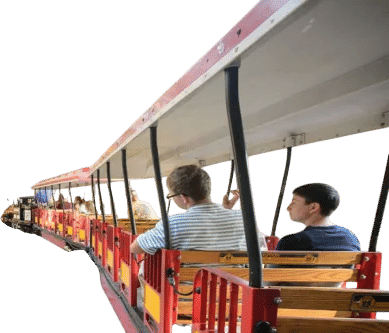 a membership to your local museum