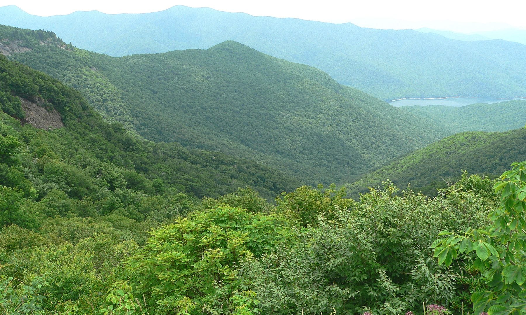 August in Appalachia