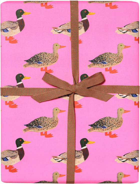 Quacky Birthday wrapping paper by Red Cap Cards