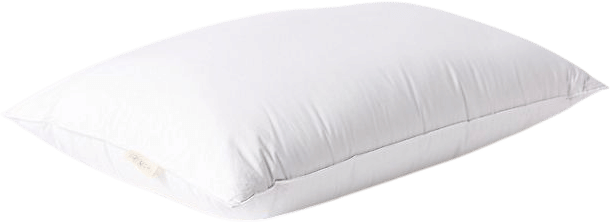 Coyuchi Down Pillow Insert
