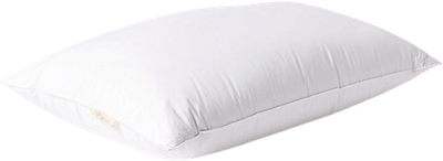 Down Pillow Insert