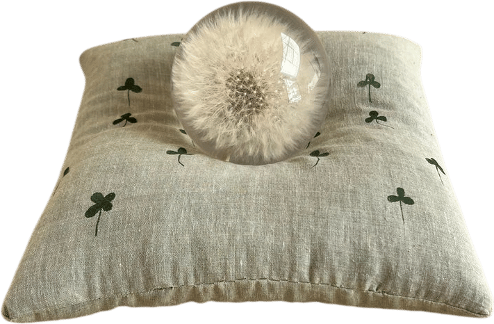 Clover Display Cushion