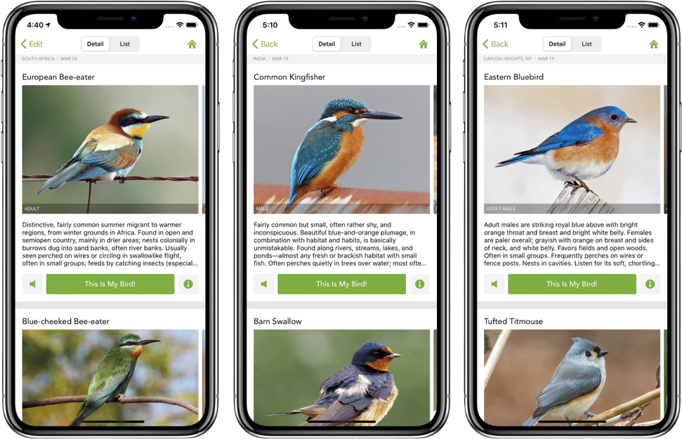 Merlin Bird ID App