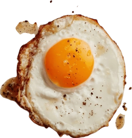 a fried egg