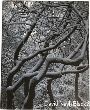 David Nash: Black & Light Exhibition Catalogue