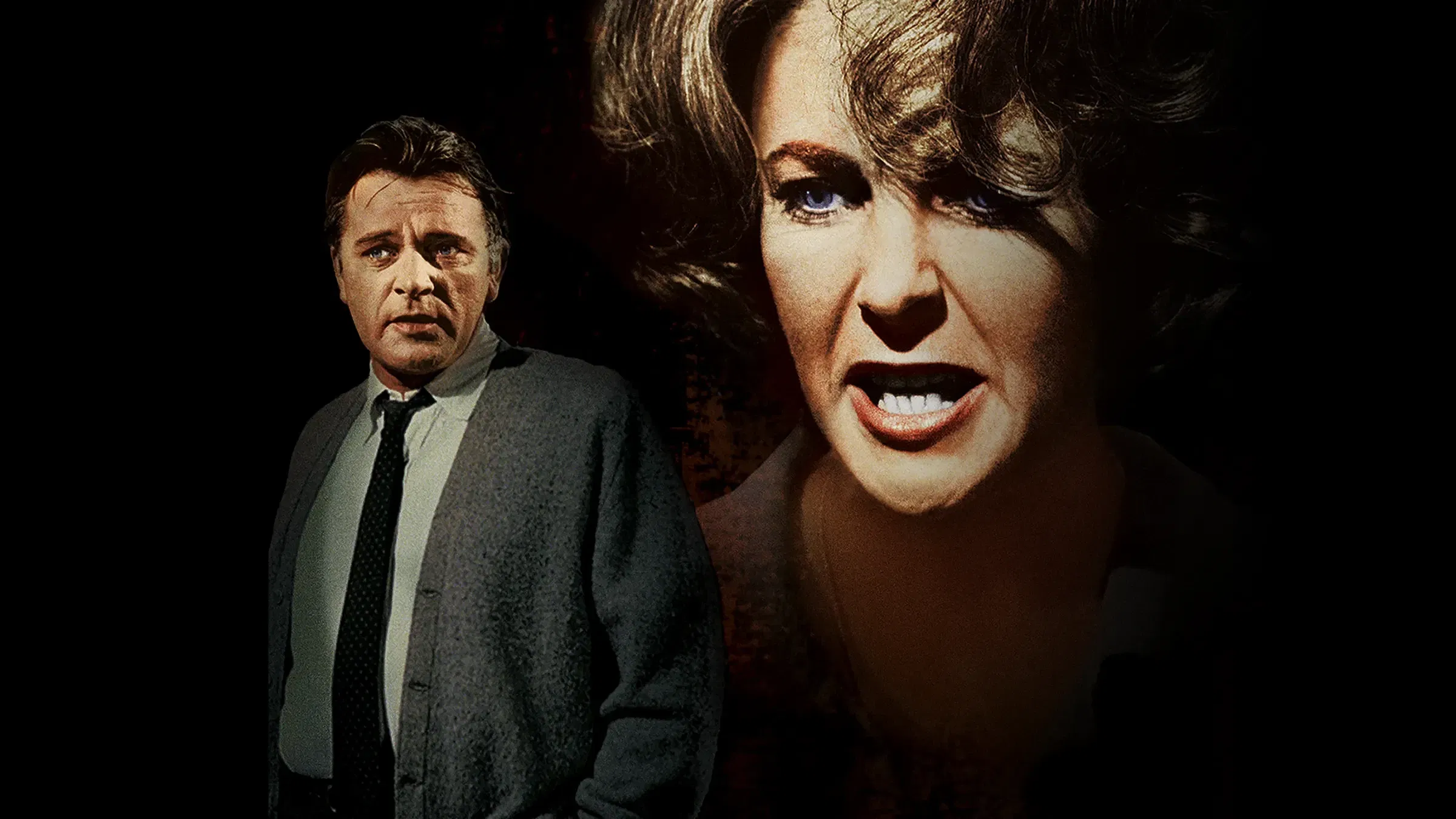 Who's Afraid of Virginia Woolf? (1966) | Mike Nichols