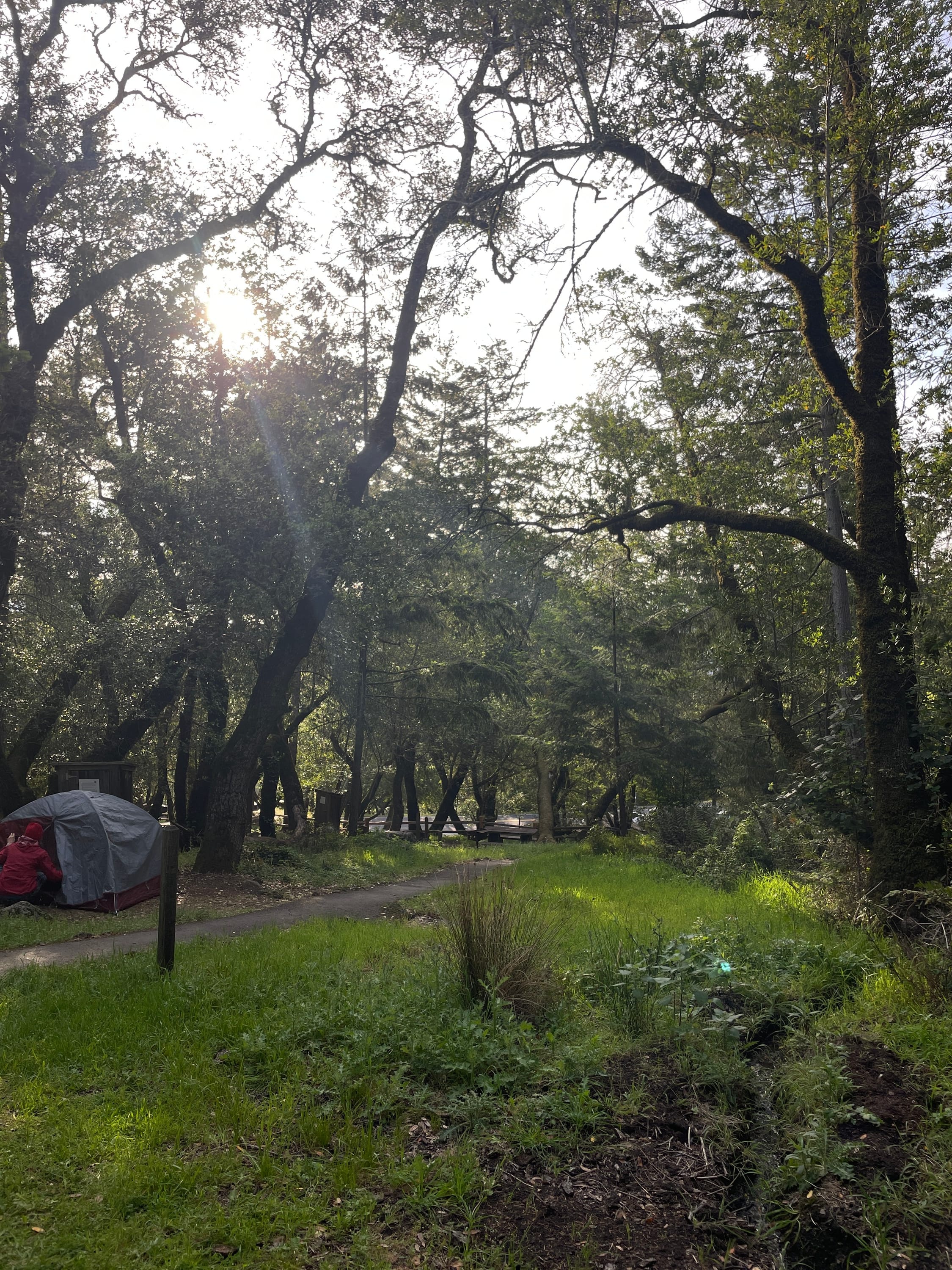 Mount Tamalpais State Park