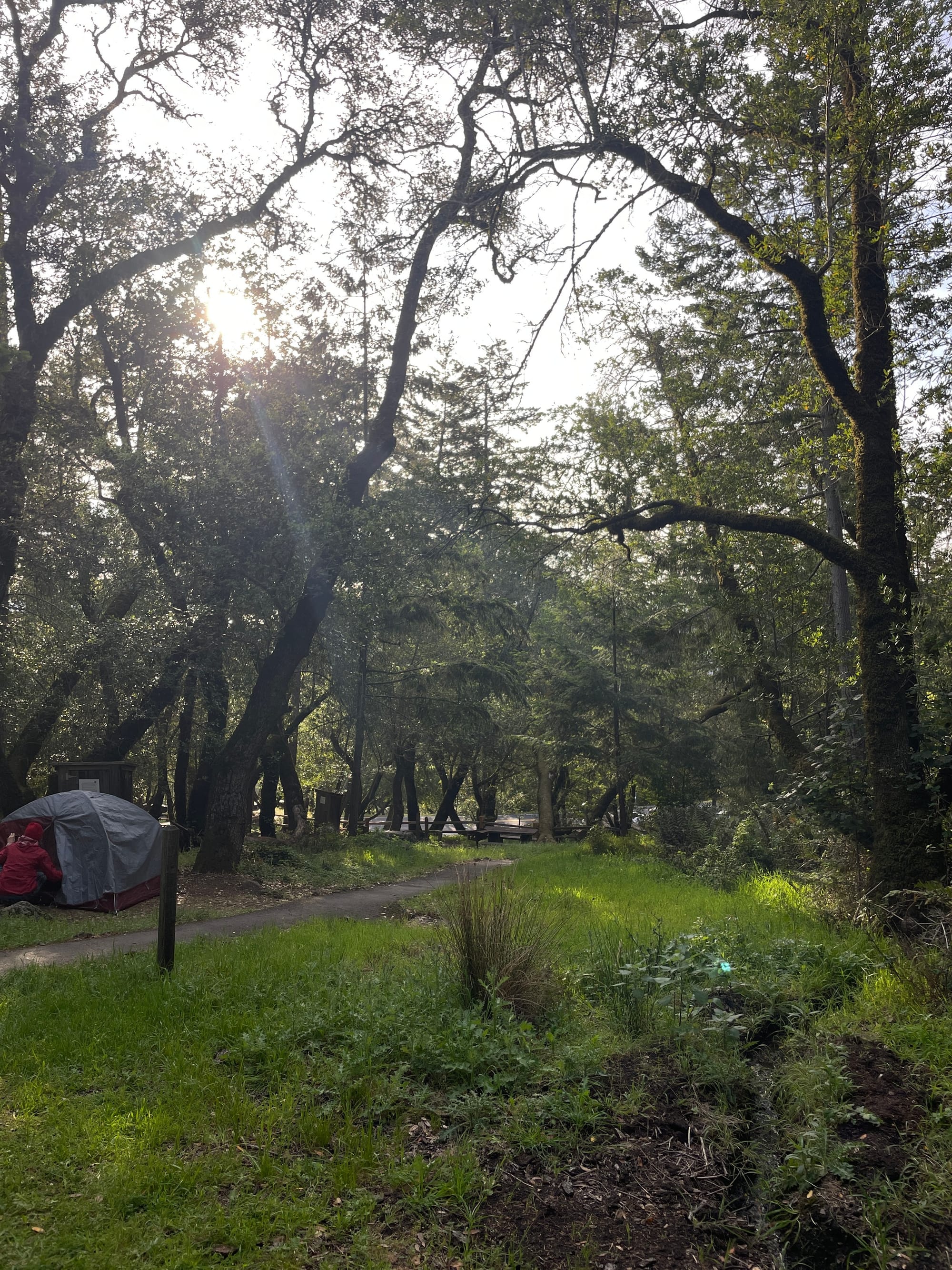 Mount Tamalpais State Park