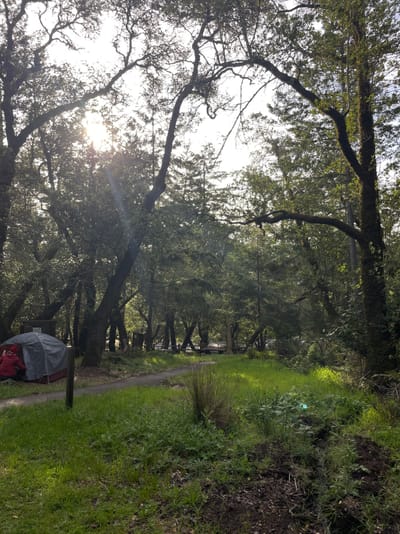 Pantoll Campground