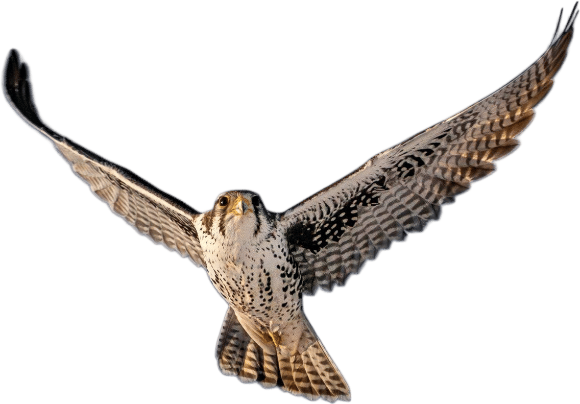 Members-Only Recommendation