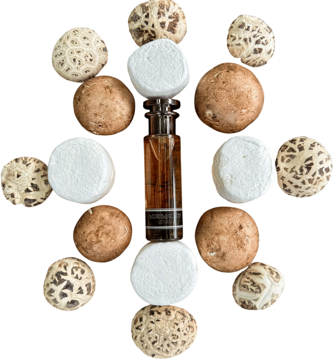 Mushmallow Eau De Parfum (CLST Perfumes)