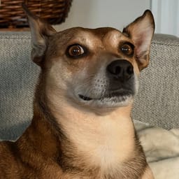 Addie