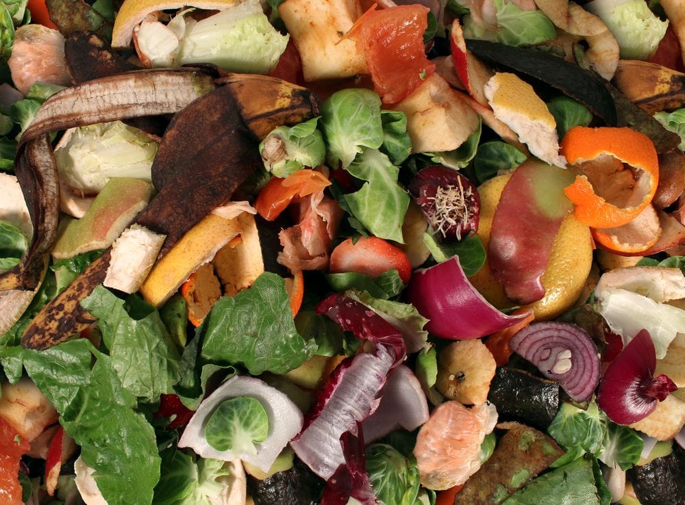 Freeze your compost