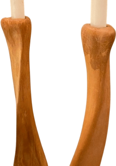 Elsa Peretti Bone Candlesticks in Terracotta