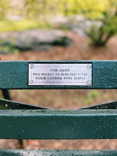 Reading the Plaques on Benches in Central Park