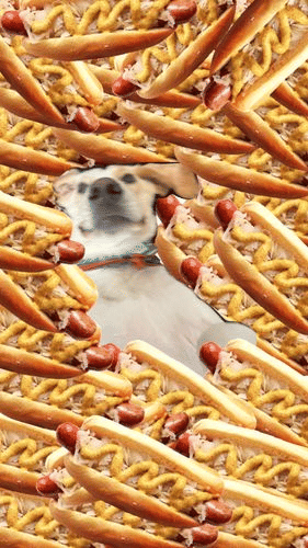 Adopt a dog and then throw a hot dog party